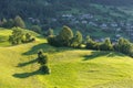 Meadow. Trees, shrubs and hilly green grassland in the evening light. Piburger See, Taxegg, Salzburg, Austria, Europe. Royalty Free Stock Photo