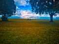 A meadow of two trees and a view of the sky unreal Royalty Free Stock Photo