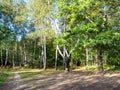 Meadow in urban park in sunny evening in september