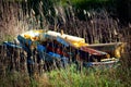 Meadow view with background of small destroyed and abandoned boat