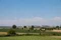 Meadow in Vojvodina region Serbia, cultivated with corn and vegetables, near Zrenjanin city, 18 May 2019