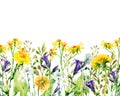 Meadow watercolor flowers card