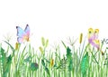 Meadow wild flowers, herbs, grasses and butterflies. Watercolor hand drawn botanical illustration Royalty Free Stock Photo