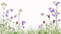 Meadow with wild flowers, isolated Royalty Free Stock Photo