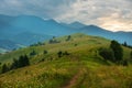 A meadow with wild flowers overlooking the green mountains in the background. Royalty Free Stock Photo