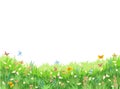 Meadow with wildflowers and butterflies. Illustration. Grass close-up. Beautiful green landscape. Isolated. Cartoon Royalty Free Stock Photo