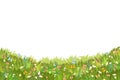 Meadow with wildflowers and butterflies. Illustration. Grass close-up. Beautiful green landscape. Isolated. Cartoon Royalty Free Stock Photo