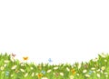 Meadow with wildflowers and butterflies. Illustration. Grass close-up. Beautiful green landscape. Isolated. Cartoon Royalty Free Stock Photo