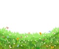 Meadow with wildflowers and butterflies. Illustration. Grass close-up. Beautiful green landscape. Isolated. Cartoon Royalty Free Stock Photo