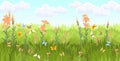 Meadow with wildflowers and butterflies. Seamless illustration. Grass close-up. Green landscape. Summer sky. Cartoon Royalty Free Stock Photo
