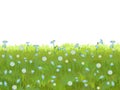 Meadow with wildflowers. Seamless illustration. Grass close-up. Green summer landscape. Rural pasture. Cartoon style Royalty Free Stock Photo