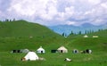 Meadow in Xinjiang-5