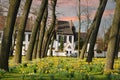 Springtime in Beguinage in Bruges Royalty Free Stock Photo