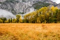 Meadow in Yosemite National Park Valley at cloudy autumn morning Royalty Free Stock Photo