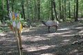 Meadowcroft Rockshelter exhibits atlatl Stick Arrow Throwing