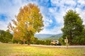 Meadown and tree with car on street Royalty Free Stock Photo