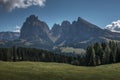 Meadows at Alpe di Siusi during summer with view to mountains of Plattkofel and Langkofel in the Dolomite Alps Royalty Free Stock Photo