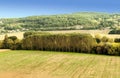 Meadows Aquitaine France Royalty Free Stock Photo