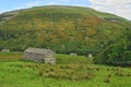 Meadows, Barns and Drystone Walls in Upper Swaledale, Yorkshire Dales, North Yorkshire, England, UK