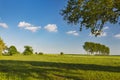 Meadows And Cattle In Spring Near Aachen, Germany