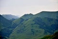 Meadows of the Caucasus Mountains in the early summer.