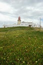 Meadows & Cliffs edge Cabo da Roca, Portugal