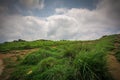 Meadows and clouds from Ponmudi Hills Top station