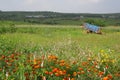 Meadows and flowers in scenic rural india