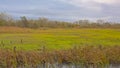 Meadows and forest in the flemish countryside