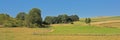 Meadows and forest in the Luexmbourg countryside