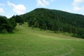 Lúky a lesy nad Jasenovou s kopcami Národného parku Malá Fatra, Slovensko