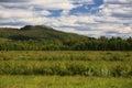 Meadows, forests and the small mountain Vithatten in northern Sweden Royalty Free Stock Photo