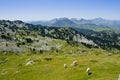 Meadows in Larra Belagua natural park, Pyrenees