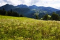 The Meadows and Mountains near Wiesensee Austria Royalty Free Stock Photo