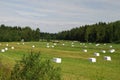 Meadows of Northern Savonia in Eastern Finland Royalty Free Stock Photo