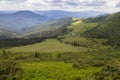 Meadows Polonyna where sheep and cows graze, hiking and tourism in Chornohora, Carpathians Royalty Free Stock Photo