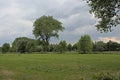 Meadow with trees in the Flemish countryside