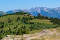 Meadows of Shrine Mountain on Shrine Pass Trail in Vail, Colorado, USA Royalty Free Stock Photo