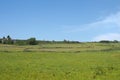 meadows in summer with grazing cows and farmhouse in calderdale west yorkshire Royalty Free Stock Photo