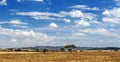 Meadows in Tanzania Royalty Free Stock Photo