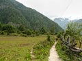 Meadows between Timang and Thamchok village - Nepal Royalty Free Stock Photo