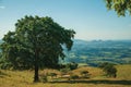 Meadows and trees in a green valley with hilly landscape