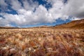 Meager landscape in the Tongariro National Park