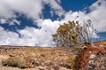 Meager landscape in the Tongariro National Park Royalty Free Stock Photo