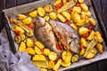 Meal.Baked Dorado fish with vegetables in the oven