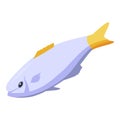 Meal fish icon, isometric style
