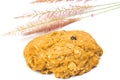 Meal rasin cookies Royalty Free Stock Photo