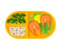 Meal Tray Filled with Salmon Fish, Broccoli and Rice, Healthy Food For Kids And Students, View from Above Flat Vector