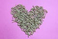 Meal worms in the shape of a heart Royalty Free Stock Photo