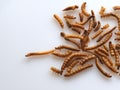 Dried Mealworms the new super human food on white background Royalty Free Stock Photo